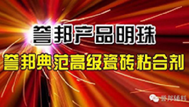 誉邦产品明珠 ——誉邦典范高级瓷砖粘合剂