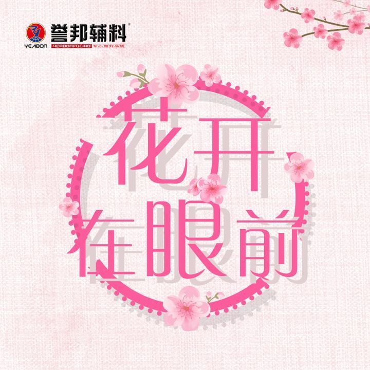 花开在眼前